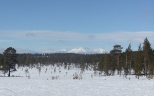 spel, teater, femund engerdal, trysil, skuespiller, kopparleden , sponsor